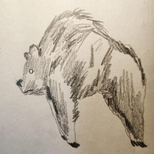 IMG 20201214 115053 519 300x300