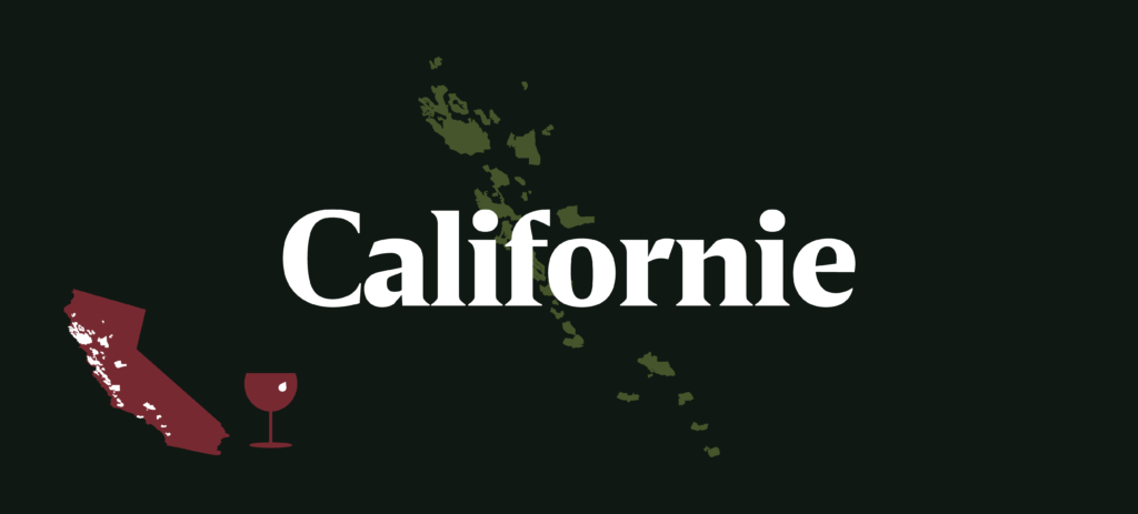 plan de travail 1 copie 4vins delhaize